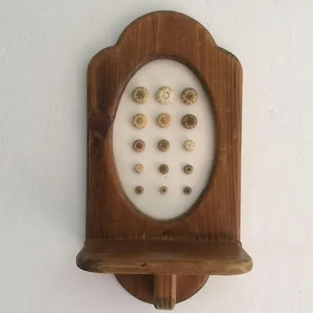 Owl's Nest/the Blue * Otziás