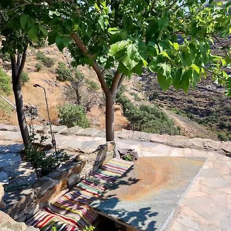 Owl's Nest/the Blue Otziás