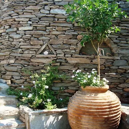 Owl's Nest/the Blue Odziász